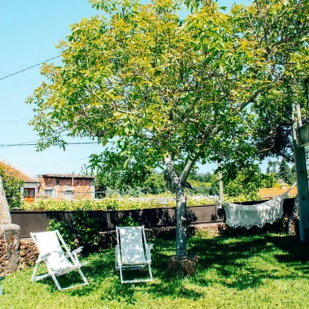 Villa Just Like - Casa João Da Xica