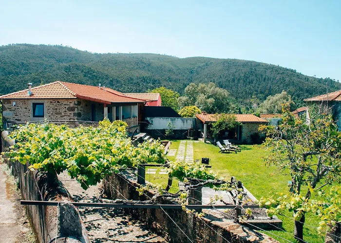 Just Like - Casa Joao Da Xica *